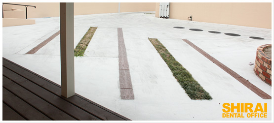 訪問歯科診療(往診)